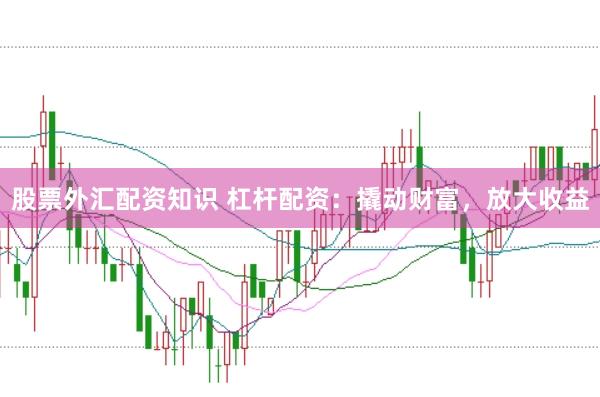 股票外汇配资知识 杠杆配资：撬动财富，放大收益
