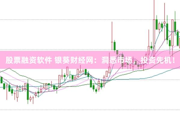 股票融资软件 银葵财经网：洞悉市场，投资先机！