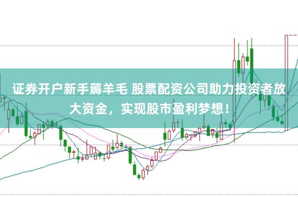 证券开户新手薅羊毛 股票配资公司助力投资者放大资金，实现股市盈利梦想！