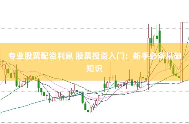 专业股票配资利息 股票投资入门：新手必备基础知识