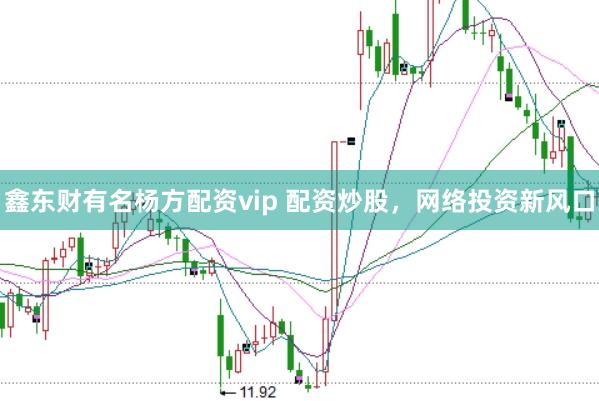 鑫东财有名杨方配资vip 配资炒股，网络投资新风口