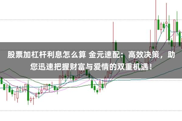 股票加杠杆利息怎么算 金元速配：高效决策，助您迅速把握财富与爱情的双重机遇！