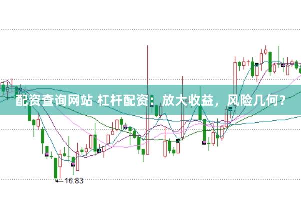 配资查询网站 杠杆配资：放大收益，风险几何？