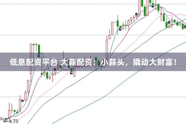 低息配资平台 大蒜配资：小蒜头，撬动大财富！