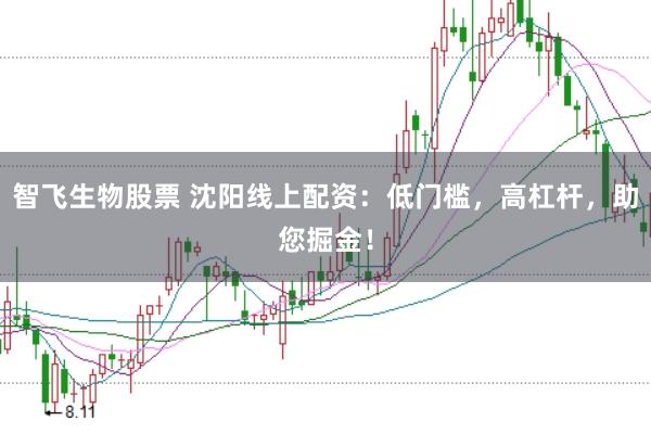 智飞生物股票 沈阳线上配资：低门槛，高杠杆，助您掘金！