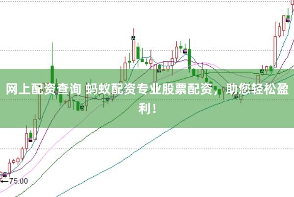 网上配资查询 蚂蚁配资专业股票配资，助您轻松盈利！