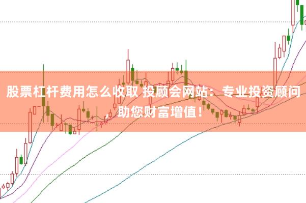 股票杠杆费用怎么收取 投顾会网站：专业投资顾问，助您财富增值！