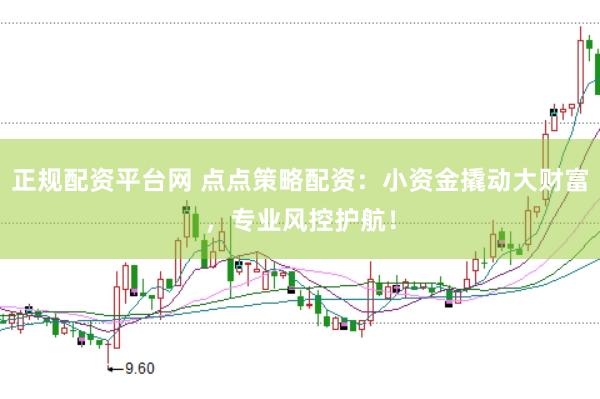 正规配资平台网 点点策略配资：小资金撬动大财富，专业风控护航！