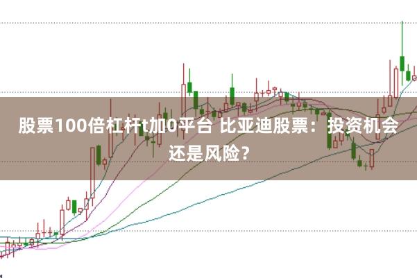股票100倍杠杆t加0平台 比亚迪股票：投资机会还是风险？
