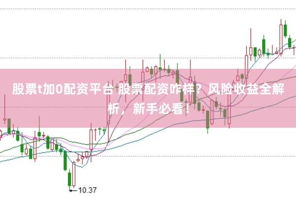 股票t加0配资平台 股票配资咋样？风险收益全解析，新手必看！