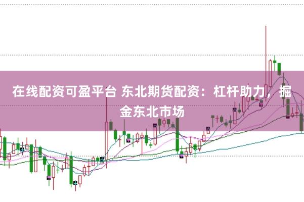 在线配资可盈平台 东北期货配资：杠杆助力，掘金东北市场