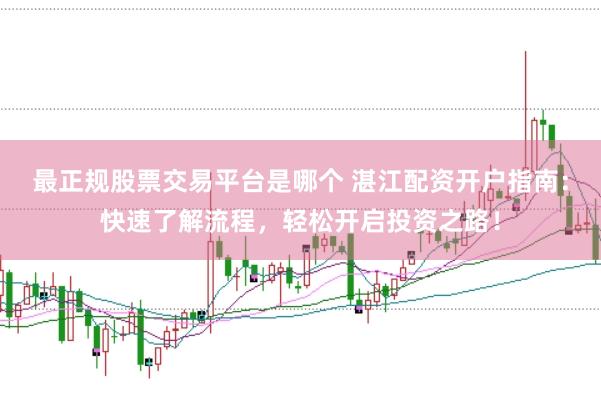 最正规股票交易平台是哪个 湛江配资开户指南：快速了解流程，轻松开启投资之路！