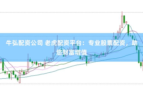 牛弘配资公司 老虎配资平台：专业股票配资，助您财富增值