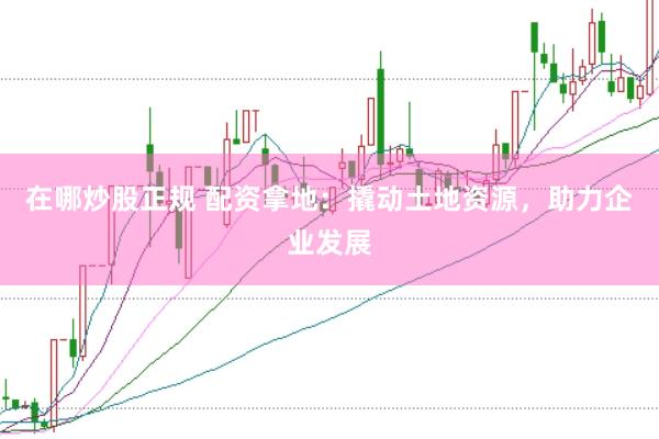 在哪炒股正规 配资拿地：撬动土地资源，助力企业发展