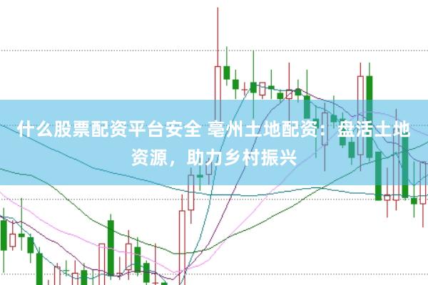 什么股票配资平台安全 亳州土地配资：盘活土地资源，助力乡村振兴