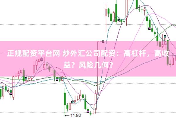 正规配资平台网 炒外汇公司配资：高杠杆，高收益？风险几何？