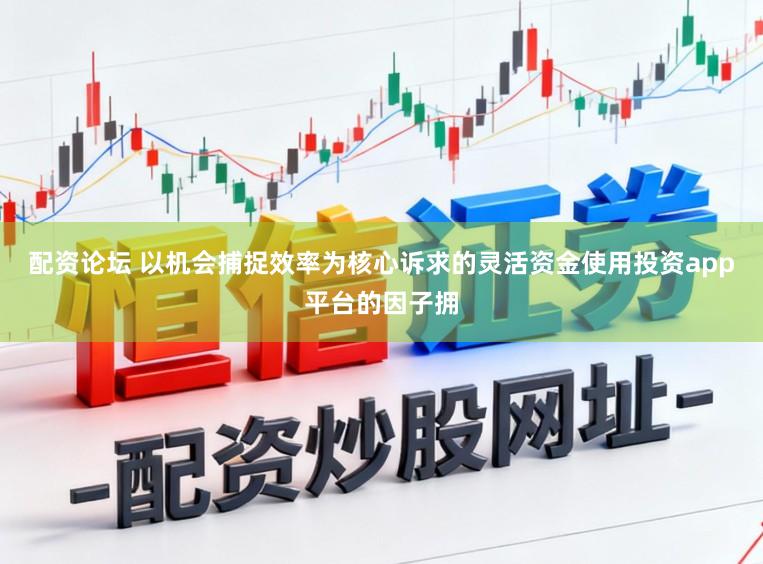 配资论坛 以机会捕捉效率为核心诉求的灵活资金使用投资app平台的因子拥