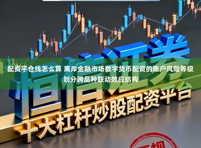 配资平仓线怎么算 离岸金融市场数字货币配资的账户风险等级划分跨品种联动效应结构