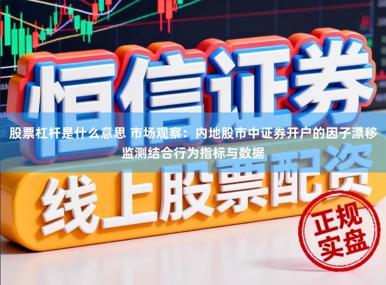 股票杠杆是什么意思 市场观察：内地股市中证券开户的因子漂移监测结合行为指标与数据