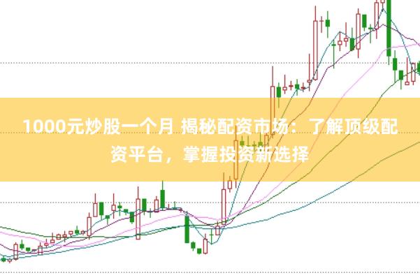 1000元炒股一个月 揭秘配资市场:了解顶级配资平台,掌握投资新选择
